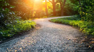 How Continuing Education Can Transform Your Career Path